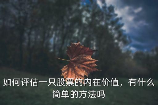 如何評估一只股票的內(nèi)在價值，有什么簡單的方法嗎