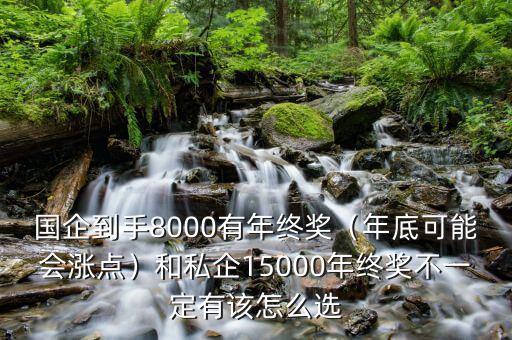 國企到手8000有年終獎（年底可能會漲點(diǎn)）和私企15000年終獎不一定有該怎么選