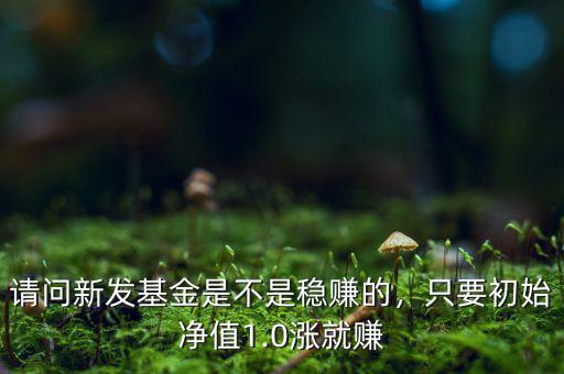 請問新發(fā)基金是不是穩(wěn)賺的，只要初始凈值1.0漲就賺