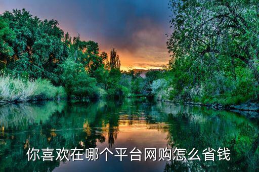 你喜歡在哪個(gè)平臺(tái)網(wǎng)購(gòu)怎么省錢(qián)