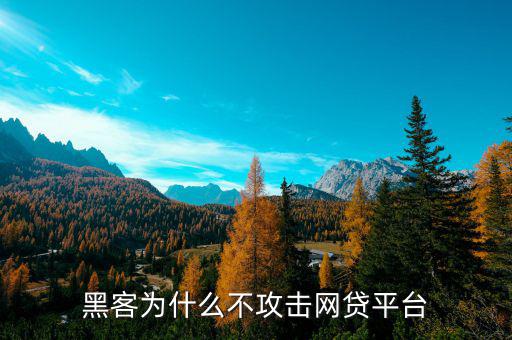 黑客為什么不攻擊網(wǎng)貸平臺(tái)