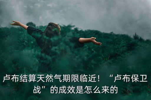 盧布保衛(wèi)戰(zhàn)是什么導(dǎo)致的,盧布保衛(wèi)戰(zhàn)的成效是怎么來(lái)的