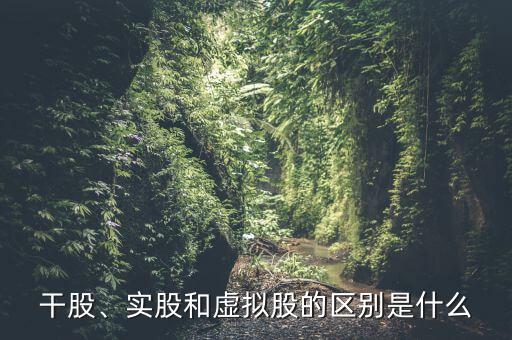 什么是虛擬股權(quán),實(shí)股和虛擬股的區(qū)別是什么