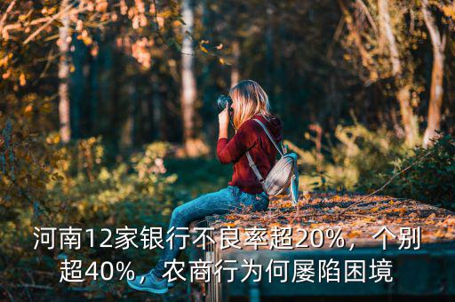 河南12家銀行不良率超20%，個別超40%，農(nóng)商行為何屢陷困境