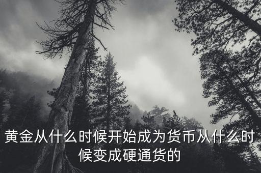 什么時(shí)候開(kāi)始有黃金的,黃金從什么時(shí)候開(kāi)始成為貨幣