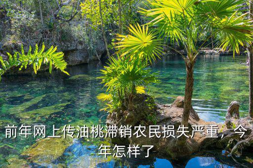 前年網(wǎng)上傳油桃滯銷農(nóng)民損失嚴(yán)重，今年怎樣了