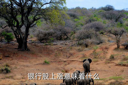 銀行股拉指數(shù)有什么用,銀行股什么時候會漲