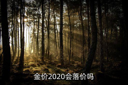 金價(jià)2020會落價(jià)嗎