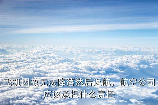 飛機因故無法降落然后返航，航空公司應該承擔什么責任