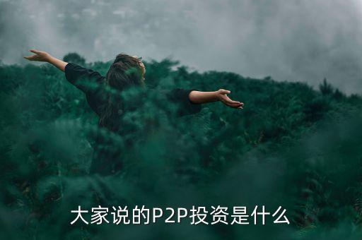 p2p投資什么,大家說的P2P投資是什么