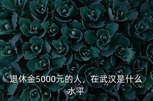 退休金5000元的人，在武漢是什么水平