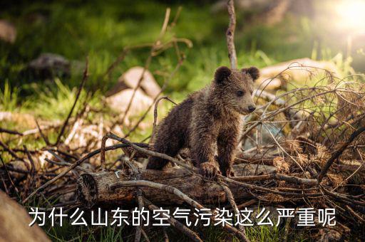 為什么山東的空氣污染這么嚴(yán)重呢