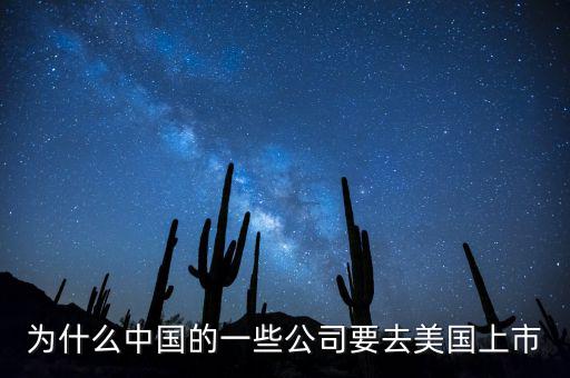 為什么中國的一些公司要去美國上市