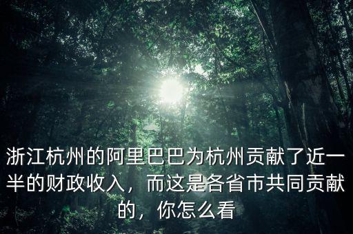 浙江杭州的阿里巴巴為杭州貢獻了近一半的財政收入，而這是各省市共同貢獻的，你怎么看