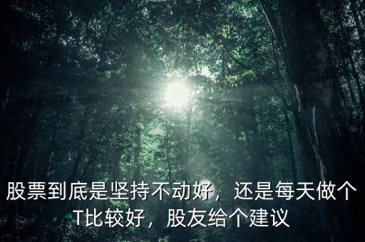 股票到底是堅持不動好，還是每天做個T比較好，股友給個建議