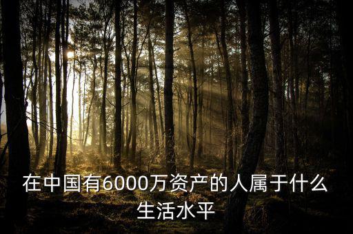 在中國有6000萬資產的人屬于什么生活水平