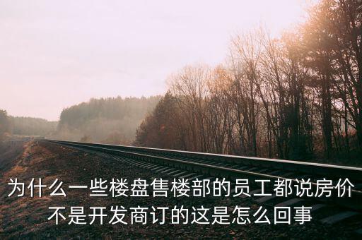 為什么一些樓盤售樓部的員工都說房價不是開發(fā)商訂的這是怎么回事