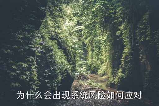 為什么會(huì)出現(xiàn)系統(tǒng)風(fēng)險(xiǎn)如何應(yīng)對