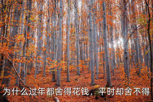 為什么過(guò)年都舍得花錢(qián)，平時(shí)卻舍不得