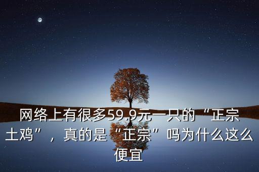 網(wǎng)絡(luò)上有很多59.9元一只的“正宗土雞”，真的是“正宗”嗎為什么這么便宜