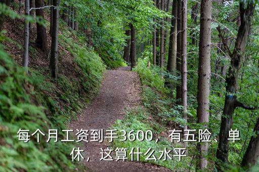 每個月工資到手3600，有五險、單休，這算什么水平