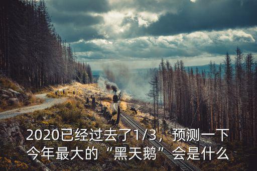 2020已經(jīng)過去了1/3，預(yù)測(cè)一下今年最大的“黑天鵝”會(huì)是什么