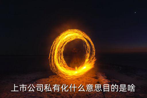 當當網(wǎng)私有化什么意思,上市公司私有化什么意思