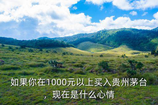 如果你在1000元以上買入貴州茅臺(tái)，現(xiàn)在是什么心情