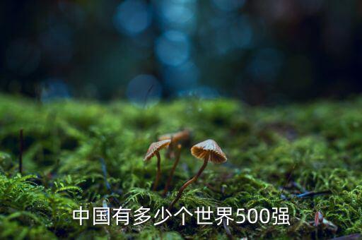 中國有多少個世界500強