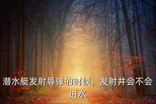 導(dǎo)彈什么時候放水,放水這個詞是什么時候出現(xiàn)的