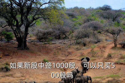 如果新股中簽1000股，可以只買500股嗎