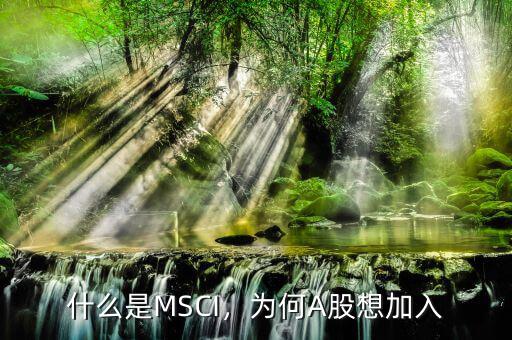 什么是MSCI，為何A股想加入