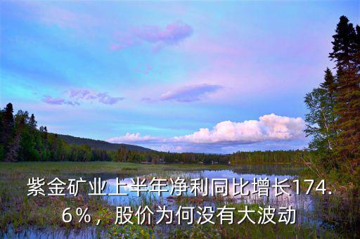 紫金礦業(yè)上半年凈利同比增長(zhǎng)174.6％，股價(jià)為何沒(méi)有大波動(dòng)