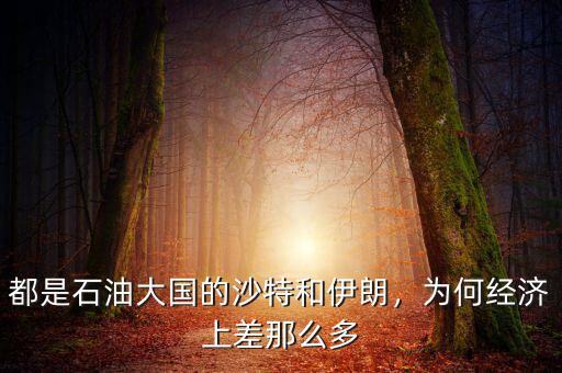 都是石油大國的沙特和伊朗，為何經(jīng)濟上差那么多