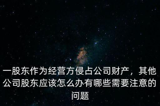 股東侵占超過(guò)股份的錢怎么辦,其他公司股東應(yīng)該怎么辦