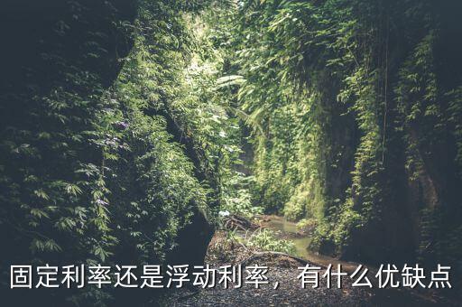 固定利率還是浮動(dòng)利率，有什么優(yōu)缺點(diǎn)