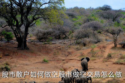 融資怎么做空,股市做空交易怎么做