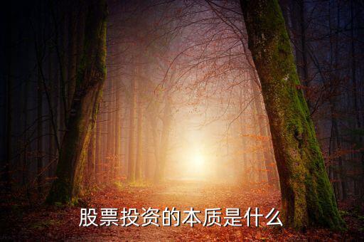 投資的本質(zhì)到底是什么,投資的本質(zhì)是什么