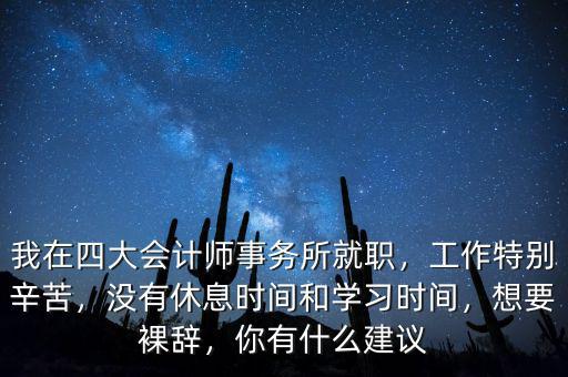 四大的審計做什么,聽說四大主要做審計和咨詢