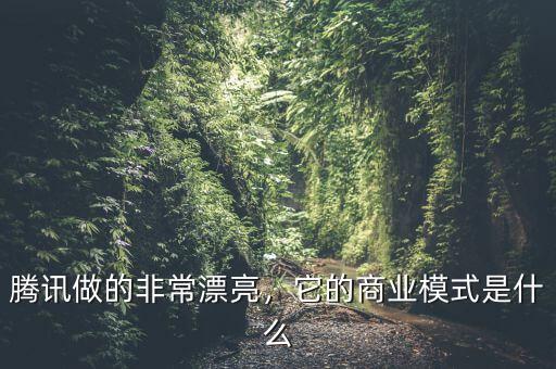 騰訊做的非常漂亮，它的商業(yè)模式是什么