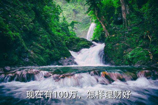 現(xiàn)在有100萬，怎樣理財好