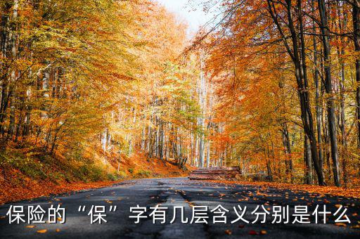 保險(xiǎn)的“?！弊钟袔讓雍x分別是什么