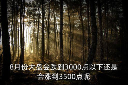 8月份大盤會跌到3000點以下還是會漲到3500點呢