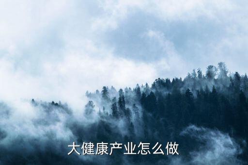 健康產(chǎn)業(yè)具體投資什么,大健康產(chǎn)業(yè)怎么做