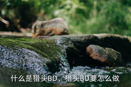 什么是獵頭BD，獵頭BD要怎么做