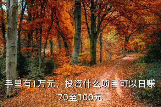 手里有1萬(wàn)元，投資什么項(xiàng)目可以日賺70至100元