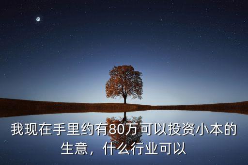 我現(xiàn)在手里約有80萬可以投資小本的生意，什么行業(yè)可以