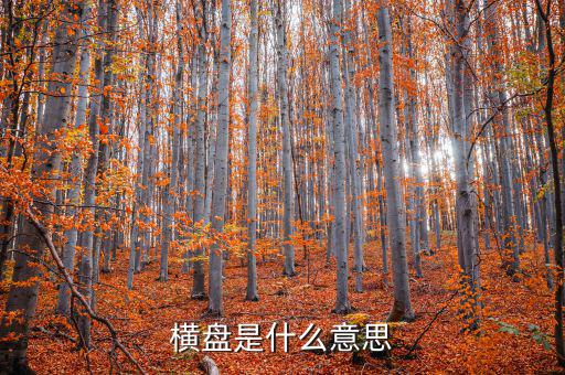 股票橫盤(pán)怎么辦,橫盤(pán)是什么意思