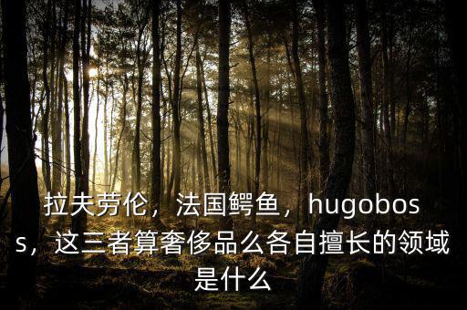 拉夫勞倫，法國鱷魚，hugoboss，這三者算奢侈品么各自擅長的領(lǐng)域是什么