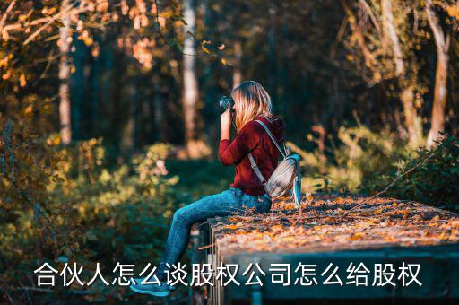 合伙人怎么談股權公司怎么給股權